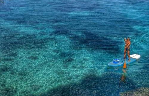 Apartamentos Playamar - Foto 19