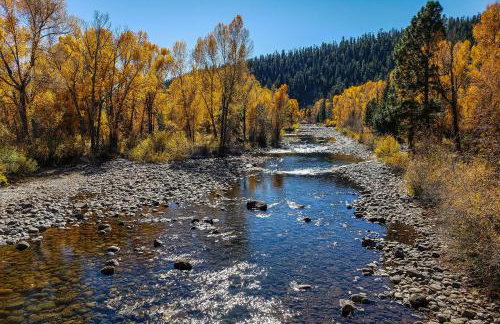 Bayfield Cabin with Wraparound Deck and Fire Pit - Foto 34
