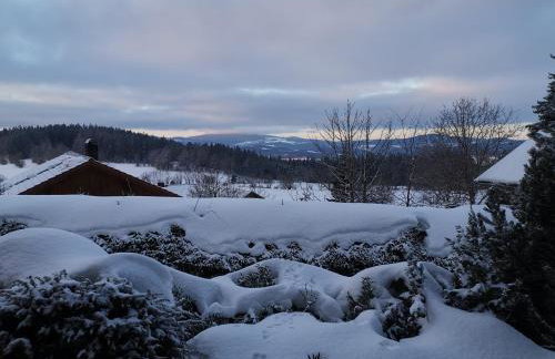 Ferienwohnungen Kremser bei Spiegelau Eppenschlag - Foto 61