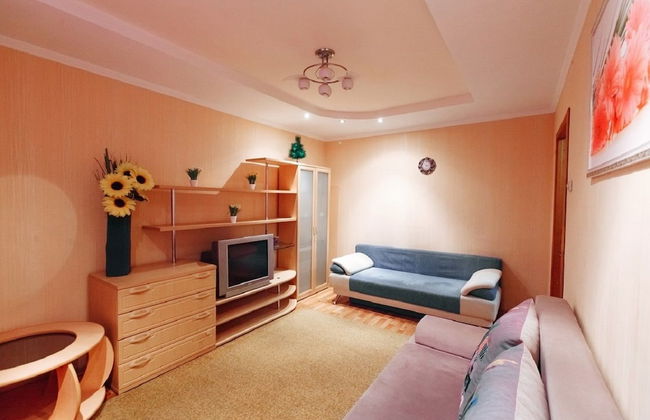 Apartment near Central Square - Photo 7