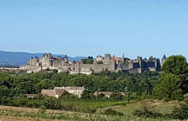 Tour privato di un giorno: Castelli di Lastours e Cité de Carcassonne. Da Carcassonne. - Foto 2