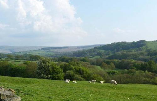 Wenning Bank - Foto 18