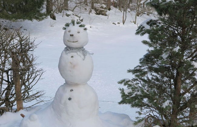 Nagelsmederij in het Huis Waldwinkel - Foto 33