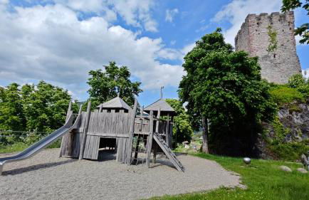 Schwarzwaldraum Schlossblick - Foto 32