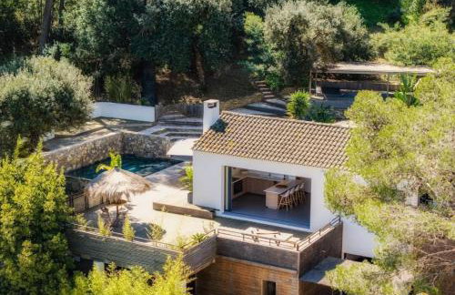 Villa Costa Ricaine - Foto 13