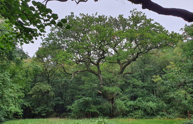 10 Person Holiday Home in Stege - Foto 21