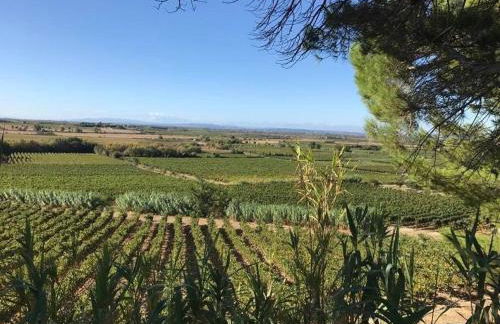 Historic French townhouse - Foto 38