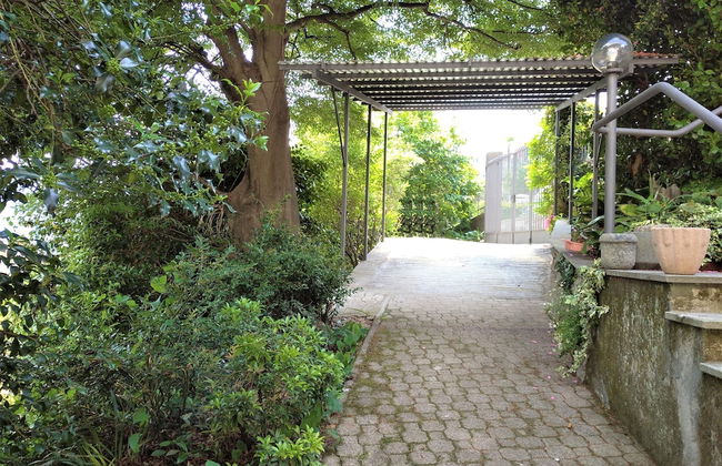 La Rosa del Lago - Foto 21