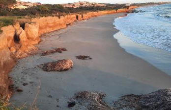Casa Antonietta Villetta incantevole Vista Mare - Foto 29
