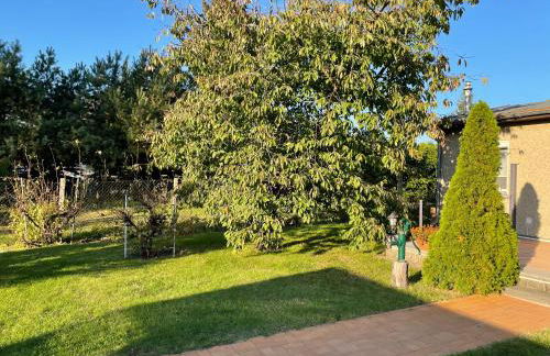 Ferienhaus am Birkenwaeldchen - Motzener See 150m - Foto 8