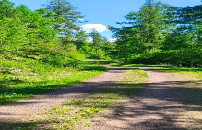 Hill View Holiday Home in Dankerode near Lake & Hiking - Foto 28