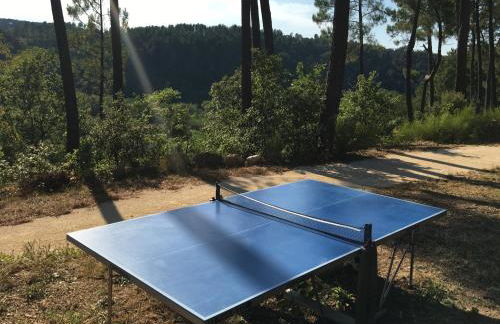 Gîte des arts premiers - Foto 20