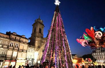 Three Little Birds - Foto 48