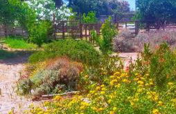 Casa Marina Lu Tuvaraggiu Casa vacanze - Photo 40