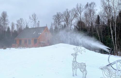 BC Log cabin with private beach river fire pit AC wifi onsite trails ski slope views - Foto 64