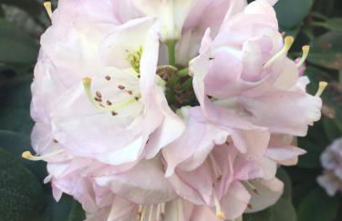 Boarding-Potsdam - Foto 31