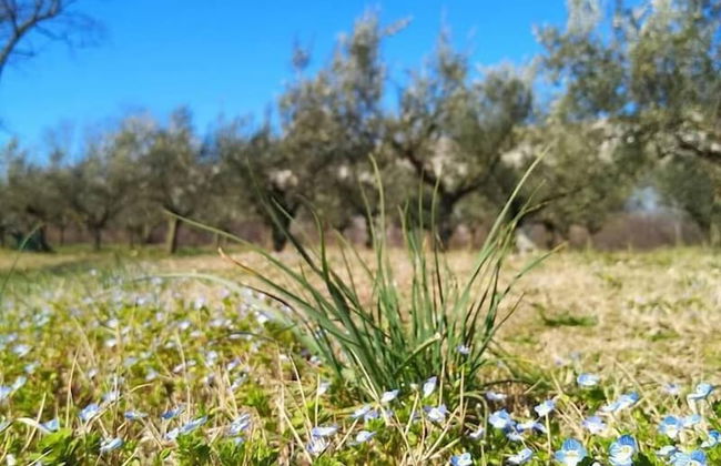 Agriturismo Radovic - Photo 13