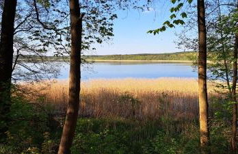 Ferienwohnung Am See mit kleinem Boot und 3er Kajak und 2 SUP - Foto 36