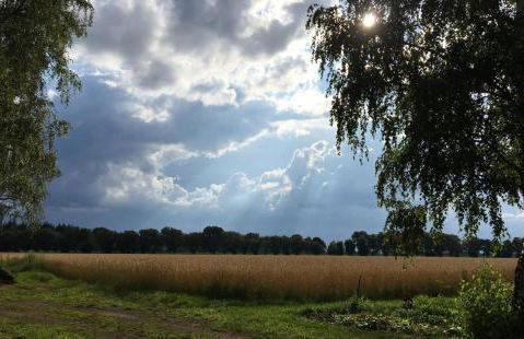 Ferienhof Timmerloher Heide - Foto 7