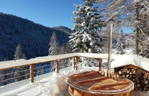 Gîte du Mont d'Air 4 étoiles, au cœur du massif vosgien, bain nordique - Foto 1