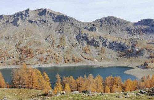 La Foux d'Allos : Studio Cosy au pied des pistes vue montagne - Foto 14
