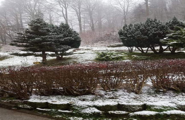 Spacious Stay Near Trails - Foto 26