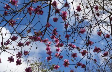 Domaine de Kerstrat - Foto 60