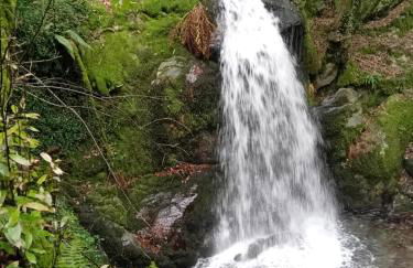 Quinta do Chão do Vale - Foto 22