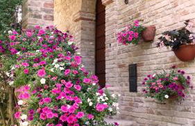 Agriturismo Fiorano - Foto 65