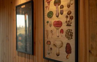 TEKOÁ - Cabana Pitanga - Barreiro, Araxá - Foto 70