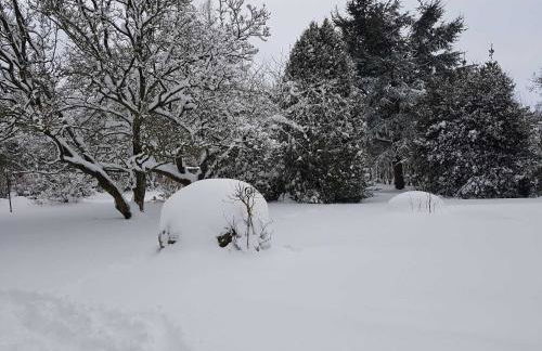 Gemuetliches Blockhaus - Photo 23