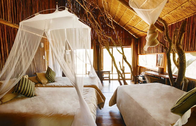 Pezulu Tree House Lodge - Foto 22