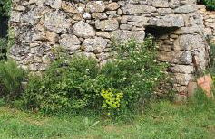 CHRIS LE VERGER - Foto 32