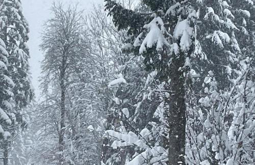 Ellen-Lara - Foto 19