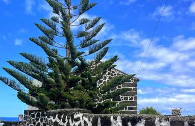 Welcome to Casa Fitz with Ocean Views and Air Conditioning - Photo 53