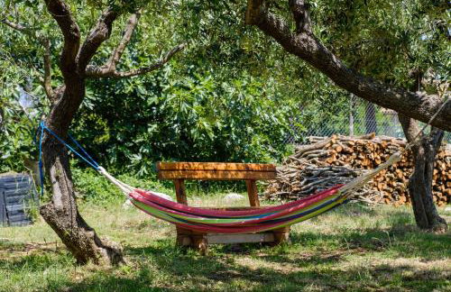 Apartments with parking space Punta kriza, Cres - 867 - Foto 9