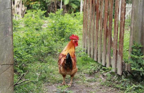 Chales em Salesopolis - Recanto da Barra - Foto 70