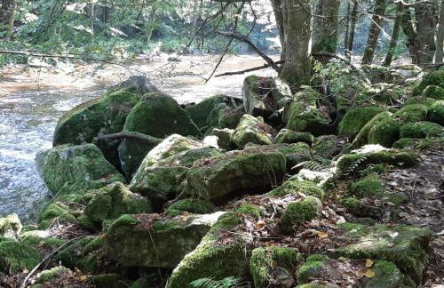 Ferienhaus Nienaber - Foto 22