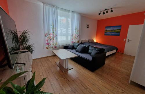 Familienfreundliche große Fewo Peter in Bärenstein bis 5 Personen - Foto 60