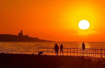 The Beachcomber - Foto 41