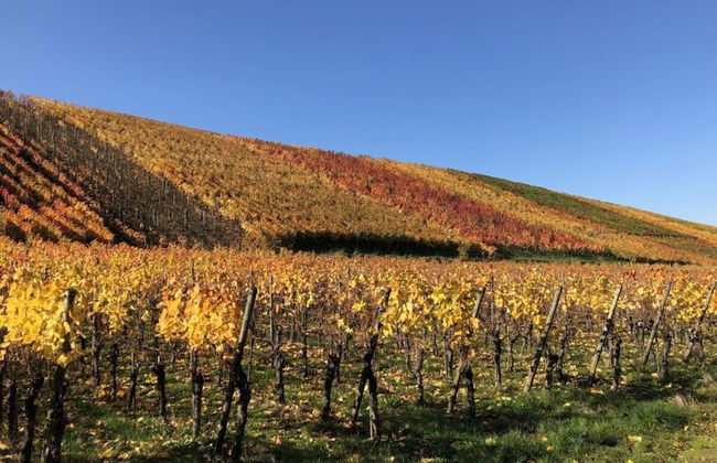 Holiday Apartment Oasis - Foto 15