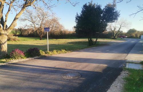 Romantic Apartment Flower - Photo 8