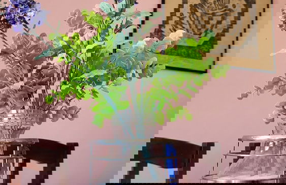 Tamboleiro's Hotel Residence - Foto 63