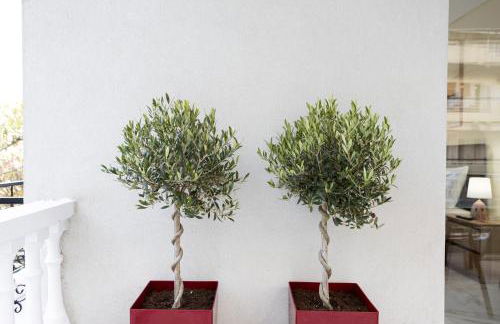 BnB Green Center Trikala - Foto 51