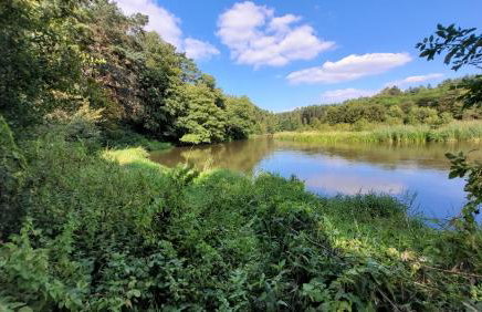 Leśne Apartmani Biała - Foto 14