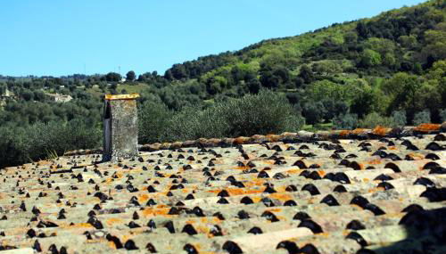 Masseria Procacci - Foto 5