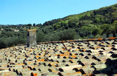 Masseria Procacci - Foto 5