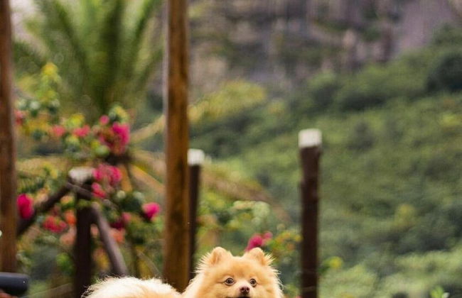 Rangel Village - Hotel Fazenda Pedra Do Rodeadouro - Foto 35