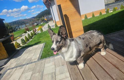 Dom Słońce PRYWATNE JACUZZI ELEKTRYCZNE W CENIE, Jezioro Solińskie, Dom na Wzgórzu SŁOŃCE, rowery, sauna - Foto 3