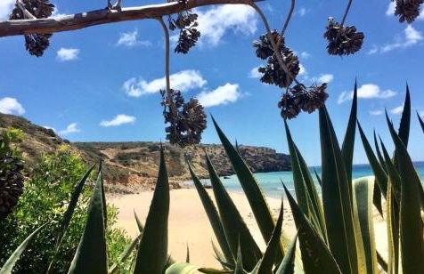 Ver-O-Mar - Photo 38